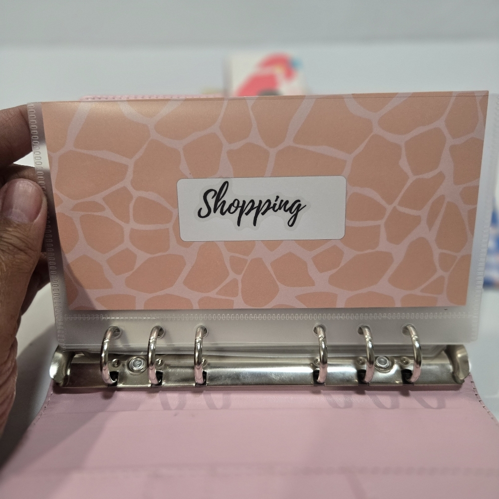 Daily Budget Planner, Savings Envelope Money Organizer, Budget Sheets, Stickers - Picture 8 of 16